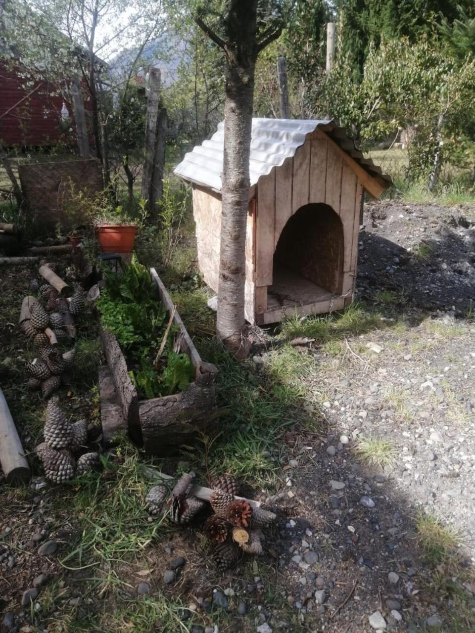 Cabana May Pao, Para 3 En Melipeuco Cerca Del Parque Nacional Conguillio Екстер'єр фото