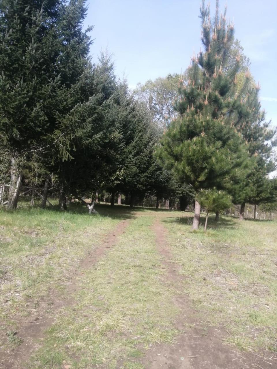 Cabana May Pao, Para 3 En Melipeuco Cerca Del Parque Nacional Conguillio Екстер'єр фото