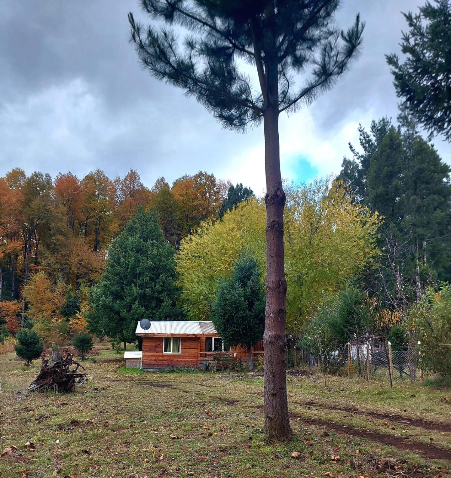 Cabana May Pao, Para 3 En Melipeuco Cerca Del Parque Nacional Conguillio Екстер'єр фото